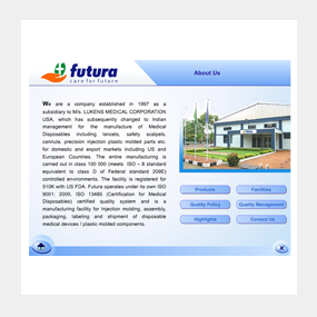 Portfolio item