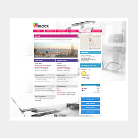 Portfolio item